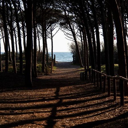 Appartamento Il Bucaniere A Marina Di Cecina Buitenkant foto