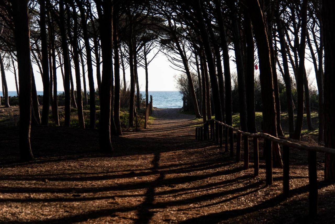 Appartamento Il Bucaniere A Marina Di Cecina Buitenkant foto