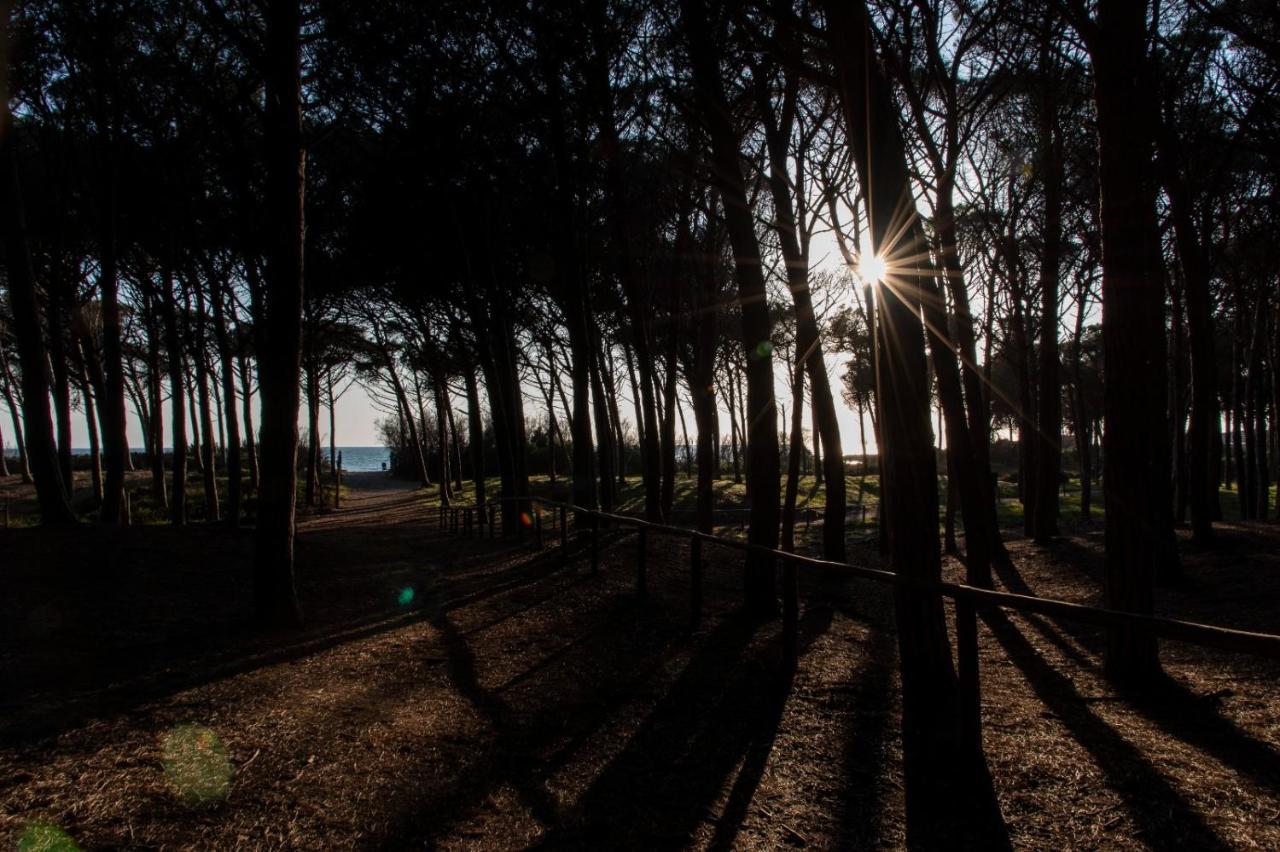 Appartamento Il Bucaniere A Marina Di Cecina Buitenkant foto